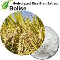 Hydrolyzed Rice Bran Extract