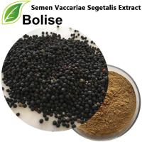 Semen Vaccariae Segetalis Extract