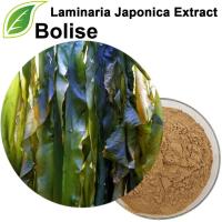 Laminaria Japonica Extract