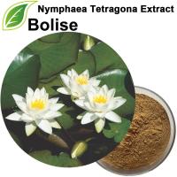 Nymphaea Tetragona Extract